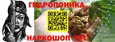 скорость Кинель