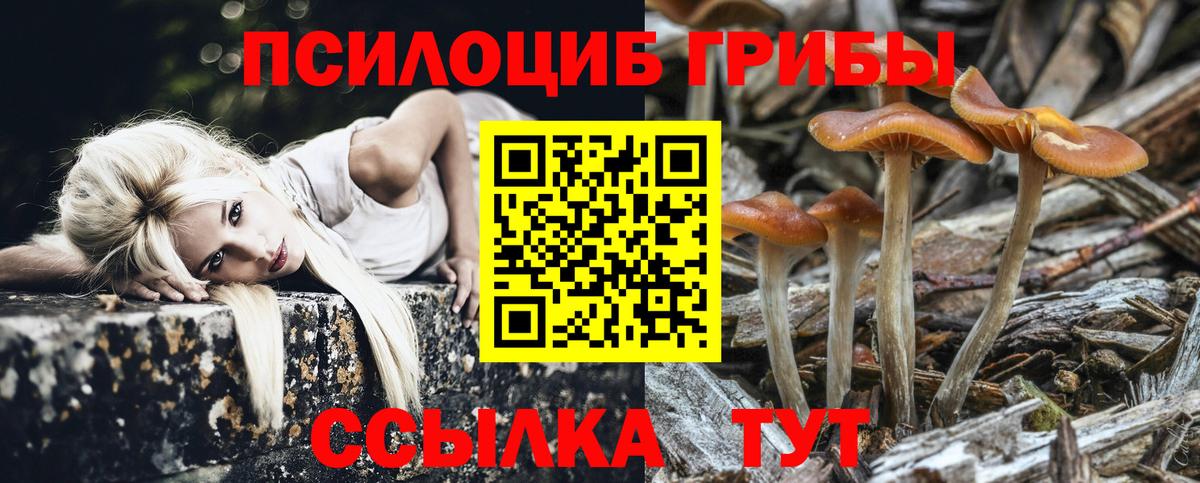 Псилоцибиновые грибы ЛСД Истра