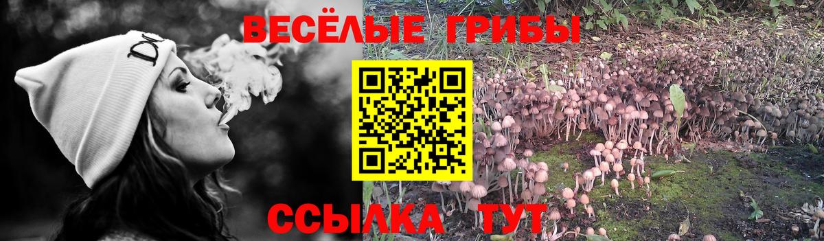 Истра  Галлюциногенные грибы Psilocybe  Вход с VPN  Псилоцибиновые грибы мухоморы 